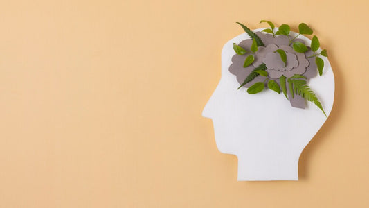 Mind-Body Connection: Why Mental Health Matters