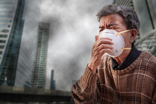Fight Against Air Pollution Using Home Remedies